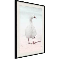 Arkiio Affisch Winter Duck [Poster] 40x60 Poster